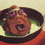 fried head