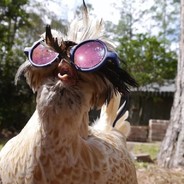 Вася Пупкин