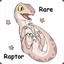 RareRaptor