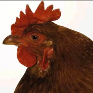 她说三分钟热度的人见多了