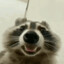 Kaffelattehund