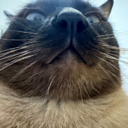 正在和56岁麻吉激情四爱