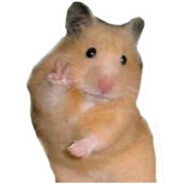 我没演我是真菜