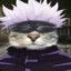 Cat_Satoru