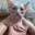 Richard, 57