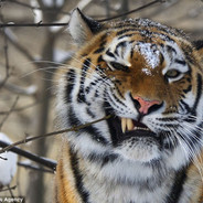 神仙也不过如此