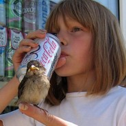 все могу