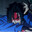 snowsnipers Steam avatar