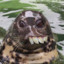 peepo