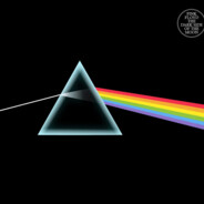 何处八重樱吹雪