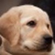 ShAkED0Wn - steam id 76561197970301243