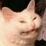 Prof. Dr. anal professional