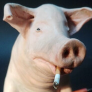 schweinebengel