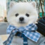 AYou