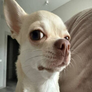 Ð²Ð»Ð°Ð´Ð¸Ðº ÑÐ°ÑƒÐ½Ð´Ð¿Ð°Ð´