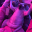 freaky cat