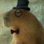 Mr.Capybara