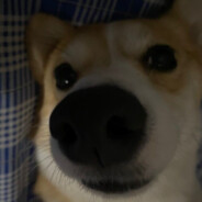 歖