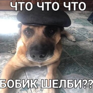 Шнене ВатаФААА