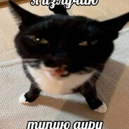 Katuz