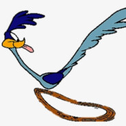 roadrunner77