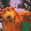 Nalle