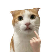 上杉绘梨衣