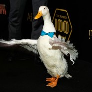 Aflac