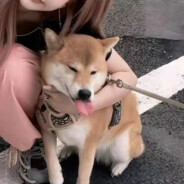 Give me a big electricity