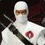 StormShadow