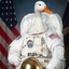 The majestic SpaceDuck