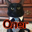 Oletron Avatar of player Oletron