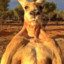 Kangaroo