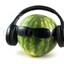 dj watermelon