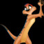 Timon