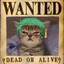 ZORO_X