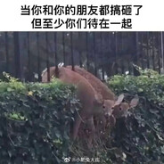 万奶阴北京