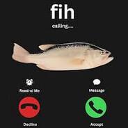 fih