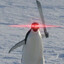 PuPuThePengu1n