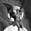 Avatar of horli da $cary