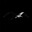 ALBATROSS