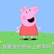 潮湿的草蜥蜴