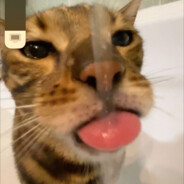 my syndrome down but money up