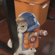 一口一口吃掉忧愁