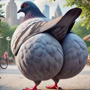 шпиониро голубио