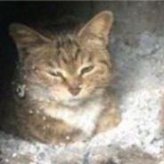 幼儿园干饭宝宝