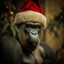 A Festive Gorilla