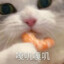 橘月