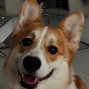 b1nekuvant avatar