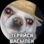 Теряйся Васылёк